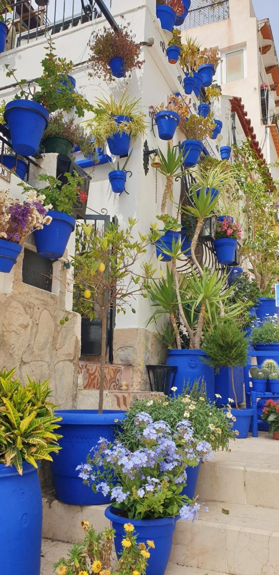 El Barrio Alicante , Playa Y Casco Antiguo Ngoại thất bức ảnh